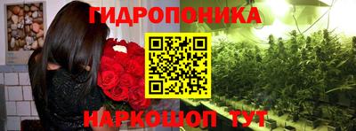 мдма Кандалакша